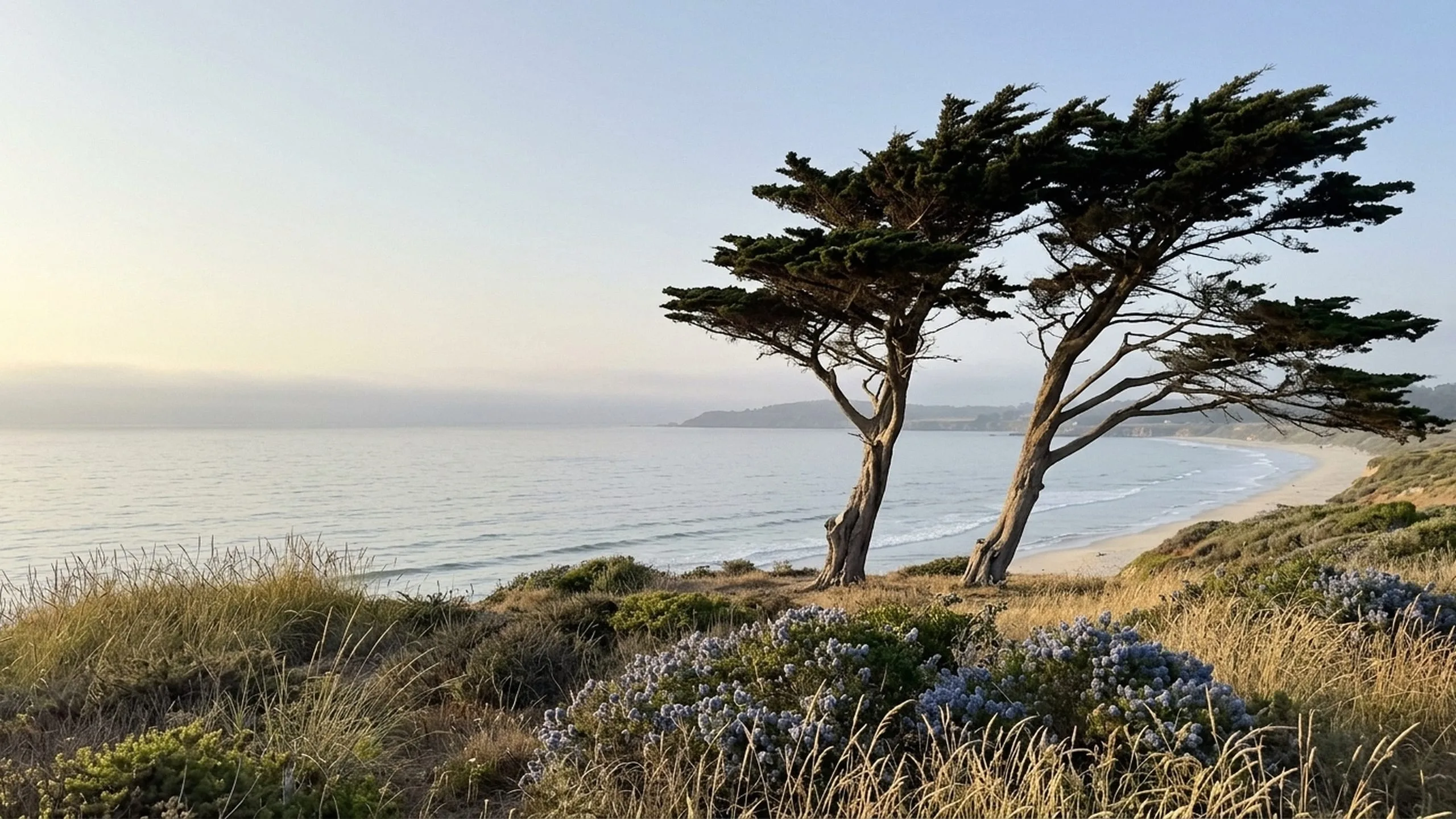 The Monterey County coastline, where we serve the towns listed alongside this map